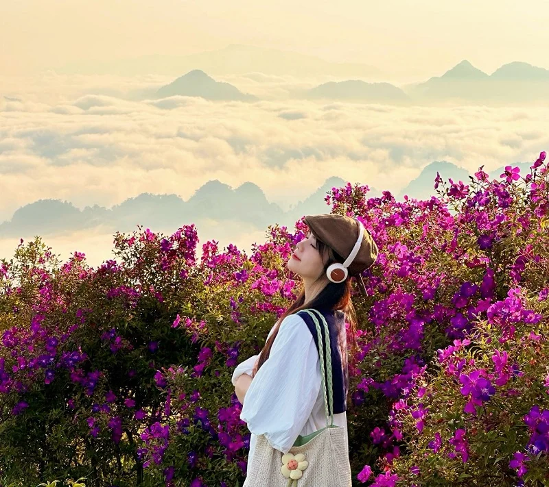 Thông Tin Cần Biết Về Giá Vé Du Lịch Mộc Châu Thông Tin Cần Biết Về Giá Vé Du Lịch Mộc Châu